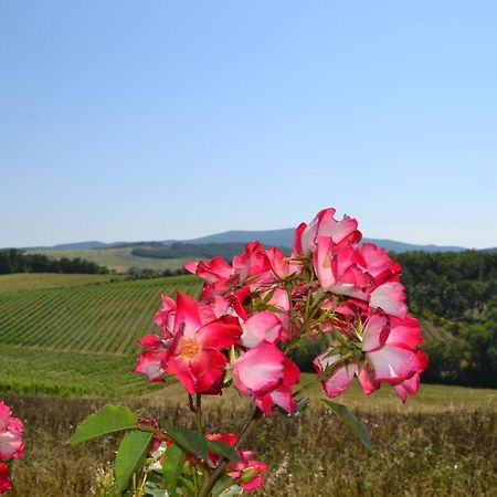 Agriturismo Cignanbianco Castellina in Chianti Dış mekan fotoğraf