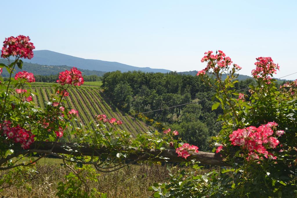 Agriturismo Cignanbianco Castellina in Chianti Dış mekan fotoğraf