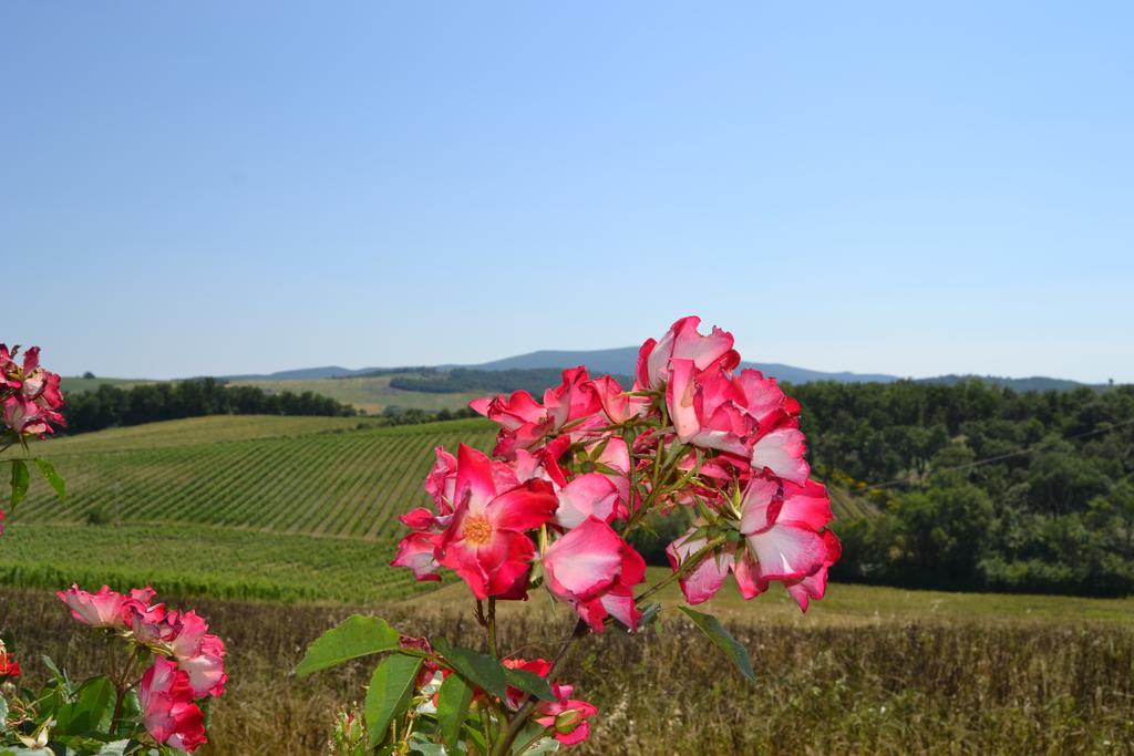 Agriturismo Cignanbianco Castellina in Chianti Dış mekan fotoğraf